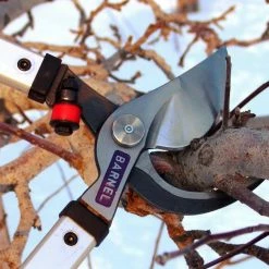 BARNEL USA 32 in. Professional Orchard By-Pass Lopper -VAN ZYVERDEN shop barnel usa loppers or32a 31 1000