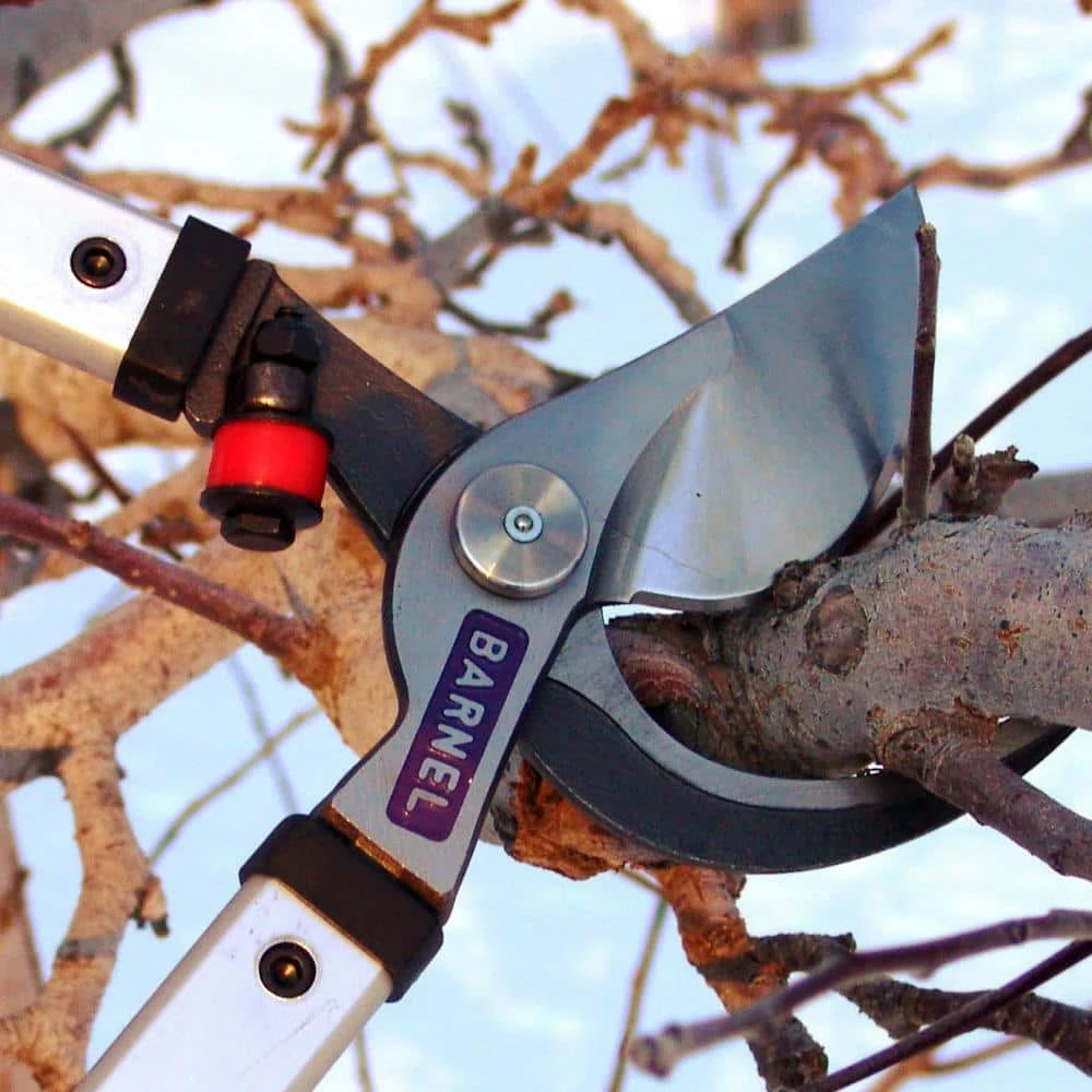 BARNEL USA 36 in. Professional Orchard By-Pass Lopper 4 BARNEL USA 36 in. Professional Orchard By-Pass Lopper - Image 2