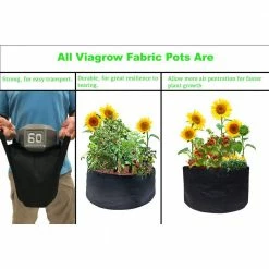 Viagrow 25 Gal. Plastic Mini Raised Garden Bed with Handles (3-Pack) -VAN ZYVERDEN shop black viagrow grow bags v25gapot 3 1d 1000