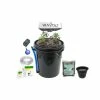 Viagrow Hydroponic 4-Plant Site Deep Water Culture System with 65-Watt LED Grow Light -VAN ZYVERDEN shop black viagrow hydroponic systems v4dwcv100x 64 1000