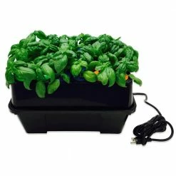 Viagrow 24 Site Aeroponic Clone Machine -VAN ZYVERDEN shop black viagrow hydroponic systems vcln24 1d 1000