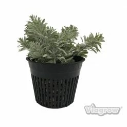 Viagrow 5 in. Black Round Cup with Slotted Black Plastic Mesh Net Pot (25-pack) -VAN ZYVERDEN shop black viagrow net pots v5net 25 66 1000