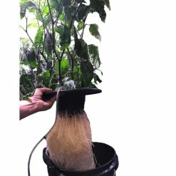 Viagrow 6 in. Black Net Pot Mesh Bucket Lid Insert (10-Pack) -VAN ZYVERDEN shop black viagrow net pots v6ml 10 a0 1000