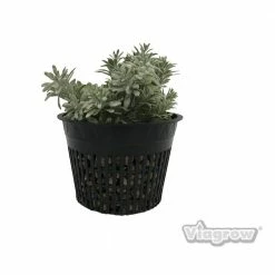 Viagrow 6 in. Black Round Cup with Slotted Black Plastic Mesh Net Pot (25-pack) 13 Viagrow 6 in. Black Round Cup with Slotted Black Plastic Mesh Net Pot (25-pack) -VAN ZYVERDEN shop black viagrow net pots v6net 25 66 1000