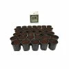 Viagrow 2 Qt. Plastic Nursery Trade Pots with Coconut Coir Growing Media (50-Pack) -VAN ZYVERDEN shop black viagrow net pots vhpp50 5kg 64 1000