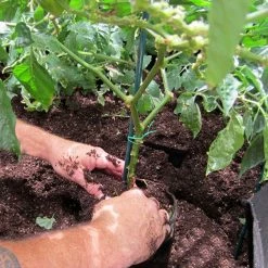 Viagrow 100 Gal. Aeration Raised Bed Planter with Handles -VAN ZYVERDEN shop black viagrow raised planter boxes v100gapot a0 1000