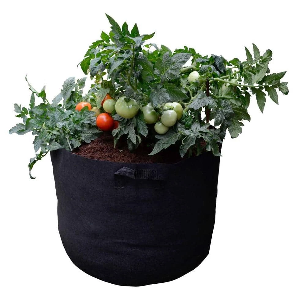 Viagrow Mini Raised Garden Bed Fabric Pot Container with Coir/Coco Growing Media 3 Viagrow Mini Raised Garden Bed Fabric Pot Container with Coir/Coco Growing Media