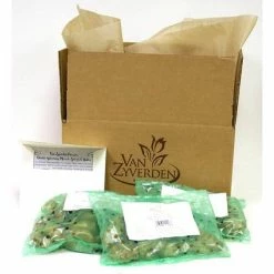 VAN ZYVERDEN Dutch Garden (Set of 75) -VAN ZYVERDEN shop van zyverden flower bulbs 21492 4f 1000