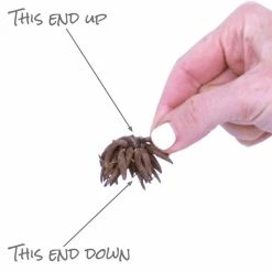 VAN ZYVERDEN Butter Cups Bulbs Ranunculus Pink (Set of 25) -VAN ZYVERDEN shop van zyverden flower bulbs 21564 1f 1000