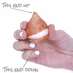 VAN ZYVERDEN Tulips Bulbs Economy Medley Of Varieties (Set of 50) -VAN ZYVERDEN shop van zyverden flower bulbs 87011 1f 1000