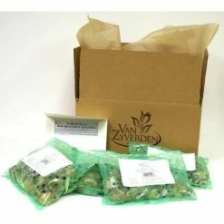 VAN ZYVERDEN Award Winning Perennial Deer Resistant Daffodil Blend (Set of 30) -VAN ZYVERDEN shop van zyverden flower bulbs 87038 4f 1000