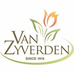 VAN ZYVERDEN Crocus Bulbs Large Flowering Blend for Containers (Set of 25) -VAN ZYVERDEN shop van zyverden flower bulbs 87090 fa 1000
