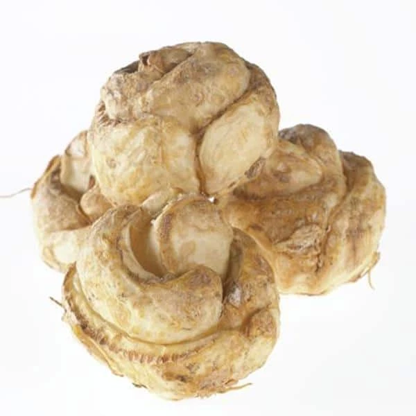 VAN ZYVERDEN Yellow Fritillaria Lutea Bulbs (3-Pack) 6 VAN ZYVERDEN Yellow Fritillaria Lutea Bulbs (3-Pack) - Image 4