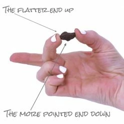 VAN ZYVERDEN Wind Flowers Bulbs Anemone Blanda Mixed (Set of 100) 12 VAN ZYVERDEN Wind Flowers Bulbs Anemone Blanda Mixed (Set of 100) -VAN ZYVERDEN shop van zyverden flower bulbs 87133 1f 1000