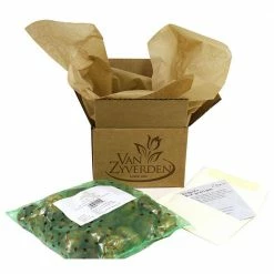 VAN ZYVERDEN Allium Blend Bulbs (100-Pack) -VAN ZYVERDEN shop van zyverden flower bulbs 87143 fa 1000