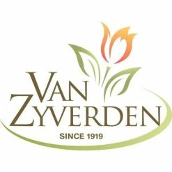 VAN ZYVERDEN Spring Bulb Garden (Set of 50) -VAN ZYVERDEN shop van zyverden flower bulbs 87165 fa 1000