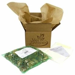 VAN ZYVERDEN Spring Time Favorite's Cottage Garden Bulb Collection Set of 100 Bulbs -VAN ZYVERDEN shop van zyverden flower bulbs 87169 4f 1000