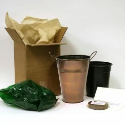 VAN ZYVERDEN Oxalis Bulbs Kit with Artisan Decorative Planter (6-Pack) -VAN ZYVERDEN shop van zyverden flower bulbs 87223 1f 1000