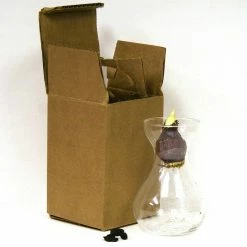 VAN ZYVERDEN White Hyacinth Kit with Clear Artisan Glass 8 VAN ZYVERDEN White Hyacinth Kit with Clear Artisan Glass -VAN ZYVERDEN shop van zyverden flower bulbs 87286 4f 1000