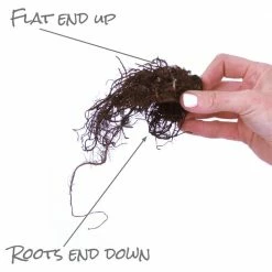 VAN ZYVERDEN Astilbe Blackberry Cake Bulbs (3-Pack) -VAN ZYVERDEN shop van zyverden flower bulbs 88340 1f 1000