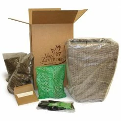 VAN ZYVERDEN Tulip Patio Planter Kit With Decorative Faux Rattan Planter, Medium, Gloves and a Set of 15 Bulbs -VAN ZYVERDEN shop van zyverden hanging planters 87171 1f 1000