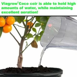 Viagrow 11 lbs. (5 kg) Coconut Coir Block of Soilless Media (3-Pack) -VAN ZYVERDEN shop viagrow garden soil vccb5 3 1d 1000