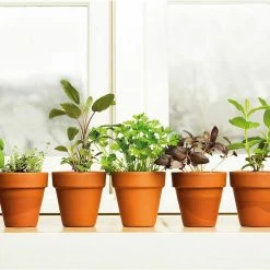 Viagrow Harvest Hero Enhanced Perlite Soil Mix (16 Qt./4 Gal./15 l) -VAN ZYVERDEN shop viagrow grow media f003003 2 77 1000