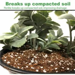 Viagrow 5 kg Coir Block With 1 Cubic Ft Horticultural Perlite (Makes 3.4 cu. Ft./25.4 Gal./101 Qts) -VAN ZYVERDEN shop viagrow grow media vccb5 vper1 66 1000