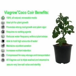 Viagrow 1.4 lbs./650g Premium Coco Coir, Soilless Grow Media, Coconut Coir Brick (12-Pack) -VAN ZYVERDEN shop viagrow grow media vccb650 12 a0 1000