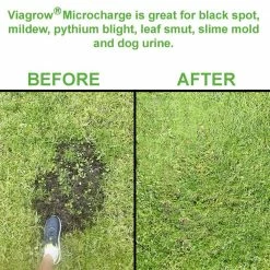 Viagrow 10 oz. Micro Charge/50g Per Pack (6-Pack) -VAN ZYVERDEN shop viagrow grow media vmc300 a0 1000