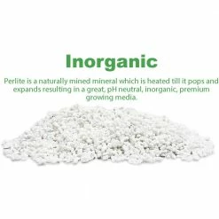 Viagrow 1 cu. ft./29.9 Qt. Organic White Perlite Planting Soil Additive and Growing Medium (2-Pack) -VAN ZYVERDEN shop viagrow grow media vper1 2 1d 1000