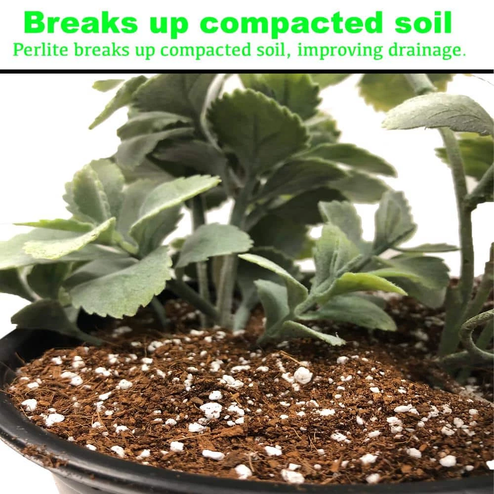 Viagrow 4 cu. ft. Perlite 4 Viagrow 4 cu. ft. Perlite - Image 2