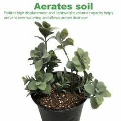 Viagrow 8 cu. ft./238 qt./226 l/59.8 Gal./25.8 kg Perlite Coarse and Chunky Grade (2-Pack) -VAN ZYVERDEN shop viagrow grow media vperch4 2 1d 1000