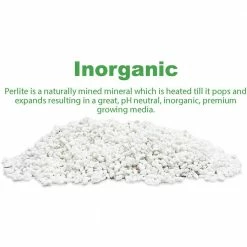 Viagrow 59 Quarts, 2 cu. ft. Organic Perlite Planting Soil Additive and Growing Medium White (2-pack) -VAN ZYVERDEN shop viagrow grow media vpr1 2 66 1000