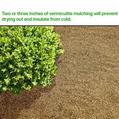 Viagrow 4 cu. ft. 29.9 Gal./113 l Horticultural Vermiculite -VAN ZYVERDEN shop viagrow grow media vr4 66 1000