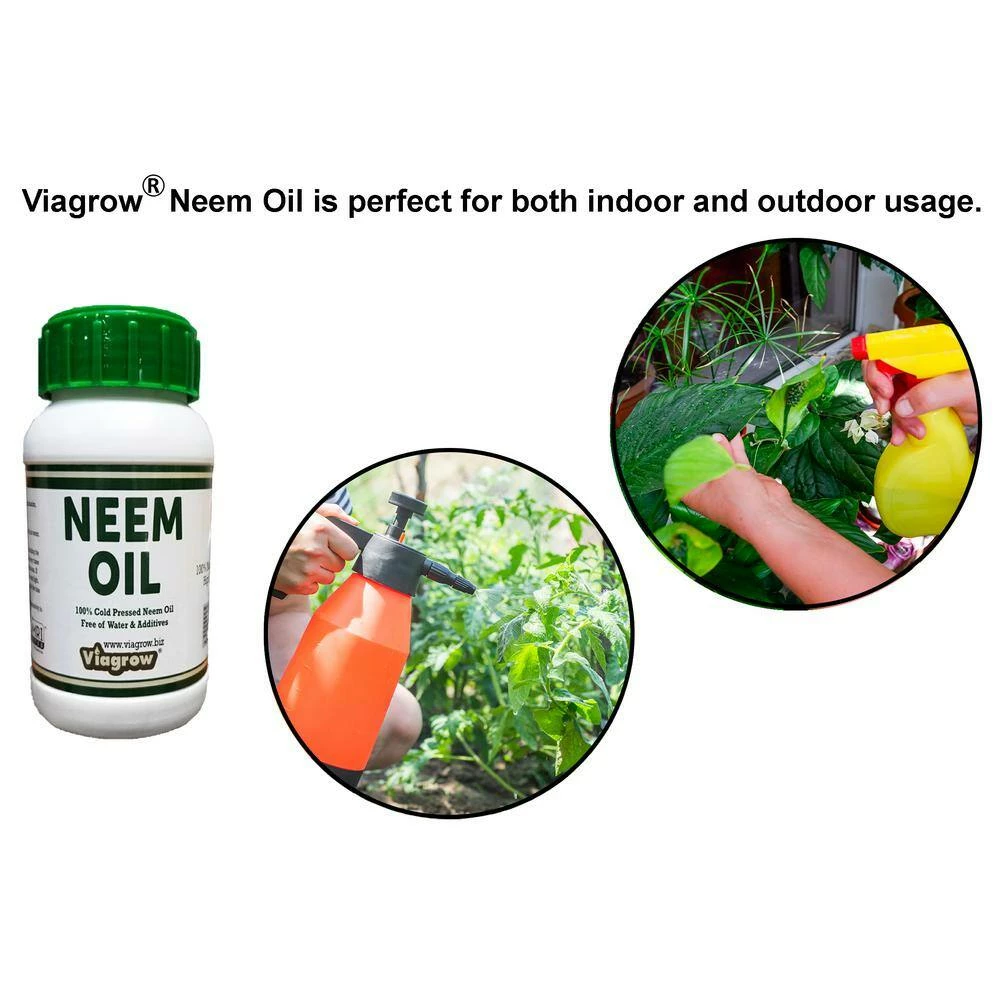 Viagrow 24 oz. Cold Pressed Neem Oil Seed Extract (Makes 36 Gal.) 6 Viagrow 24 oz. Cold Pressed Neem Oil Seed Extract (Makes 36 Gal.) - Image 4