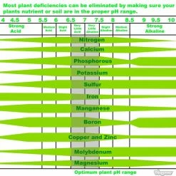 Viagrow 1 lb. Dry pH Down Nutrient Solution Adjuster 12 Viagrow 1 lb. Dry pH Down Nutrient Solution Adjuster -VAN ZYVERDEN shop viagrow plant flower disease control vgpdd501 1d 1000