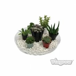 Viagrow 14 in. Clear Plastic Saucer (5-Pack) -VAN ZYVERDEN shop viagrow planter saucers v14cs 5 1d 1000