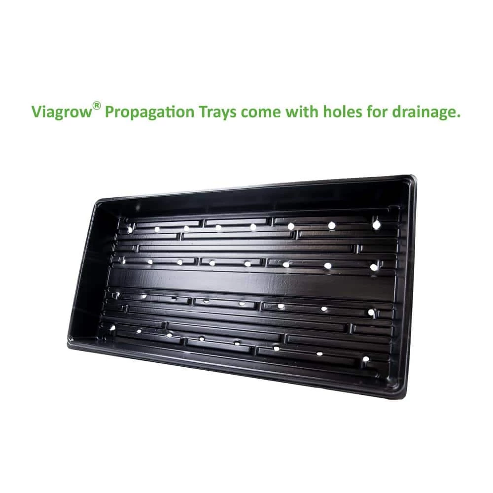 Viagrow 10 in. x 20 in. Propagation Starter Seedling Trays with Holes (5-Pack) 5 Viagrow 10 in. x 20 in. Propagation Starter Seedling Trays with Holes (5-Pack) - Image 3