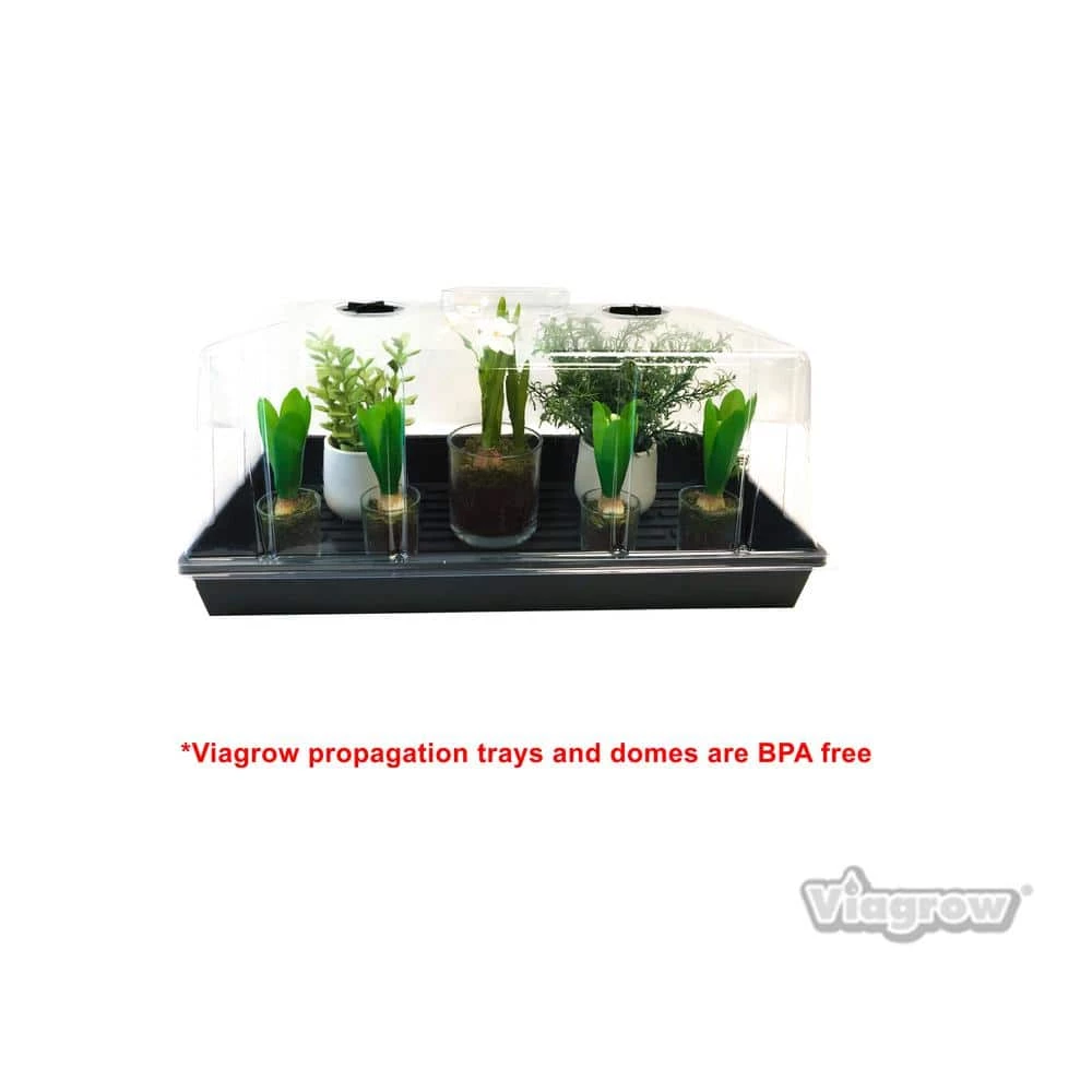 Viagrow Extra Strength Propagation Seed Starter Tray with Tall Dome, No Holes (5-Pack) 7 Viagrow Extra Strength Propagation Seed Starter Tray with Tall Dome, No Holes (5-Pack) - Image 5