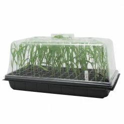 Viagrow 10 in. x 20 in. Propagation Kit with Tall 7 in. Dome 17 Viagrow 10 in. x 20 in. Propagation Kit with Tall 7 in. Dome -VAN ZYVERDEN shop viagrow seed starters vpk900 c3 1000