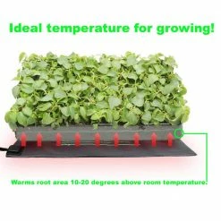 Viagrow 11 in. x 22 in. Tall Clear Plastic Dome Single Tray Kit with Standard Flat, 72 Cell Insert and Heat Mat -VAN ZYVERDEN shop viagrow seed starters vtdk1 66 1000